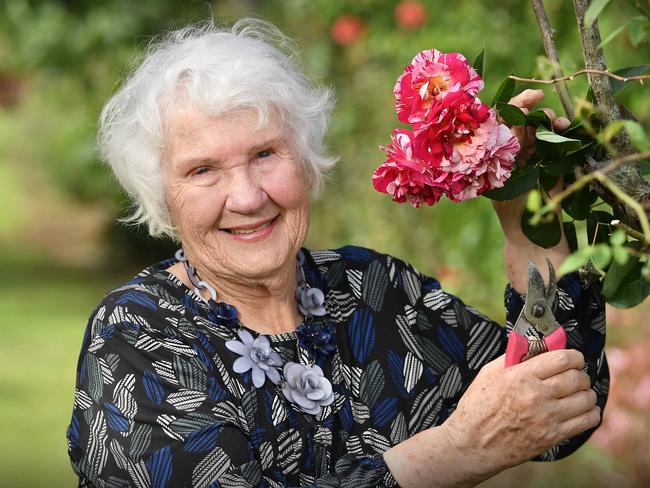 Laurel Sommerfeld with her Maurice Utrillo roses at Sommerfeld LG Rosemere Farm. Picture: Patrick Woods.