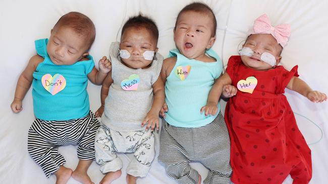 Mater miracle Quads Eddie, Archie, Louis and Anna Joshi. Pic: Annette Dew