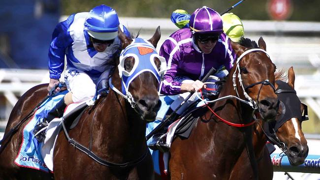 Strawberry Boy, left, will be hard to hold out. Picture: Michael Klein