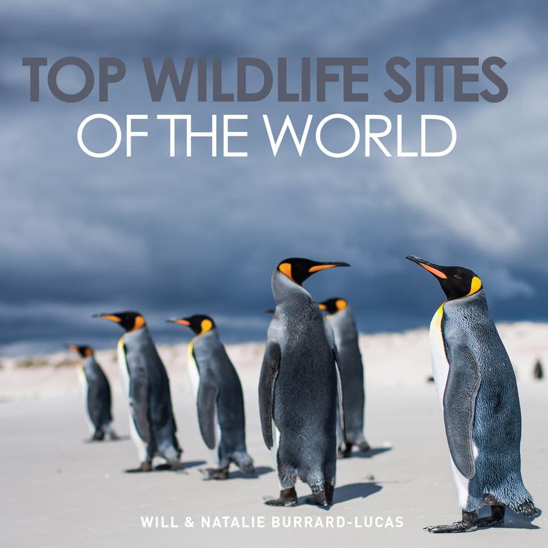 The 240-page picture book Top Wildlife Sites of the World is available on amazon.com