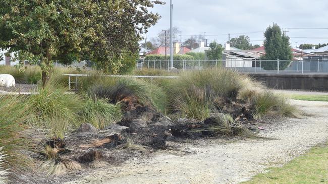 A fire was lit in March in a garden area of the Mount Gambier Railway Lands. Picture: Jessica Dempster