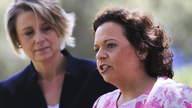 Shadow minister for communications Michelle Rowland says social media companies need to redouble their efforts to stop fake news. Picture: Dylan Robinson