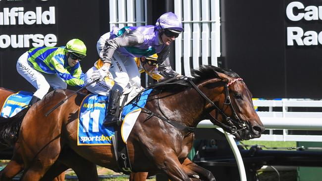 Hayasugi wins the Blue Diamond to give jockey Jamie Kah her 10th Group 1 victory. Picture: Pat Scala/Racing Photos via Getty Images