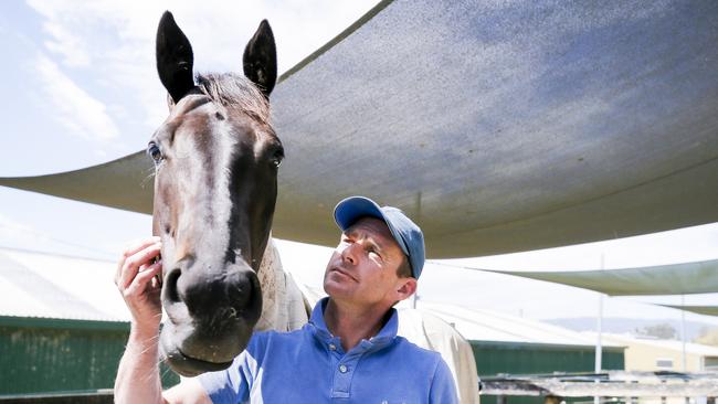 Tasmanian race horse Mystic Journey with trainer Adam Trinder. Picture: Patrick Gee