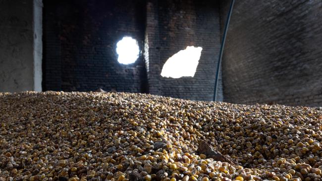 Corn lies scattered in a grain warehouse damaged by Russian tanks in Cherkska Lozova, Ukraine. Picture: Getty Images