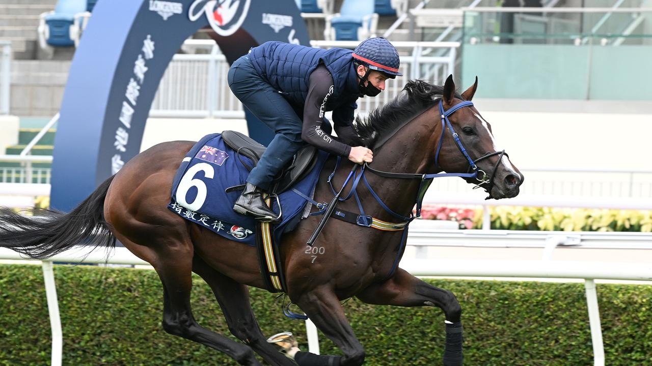 James McDonald gives Laws Of Indices a hitout at Sha Tin on Tuesday. Picture: Grant Peters-Trackside Photography