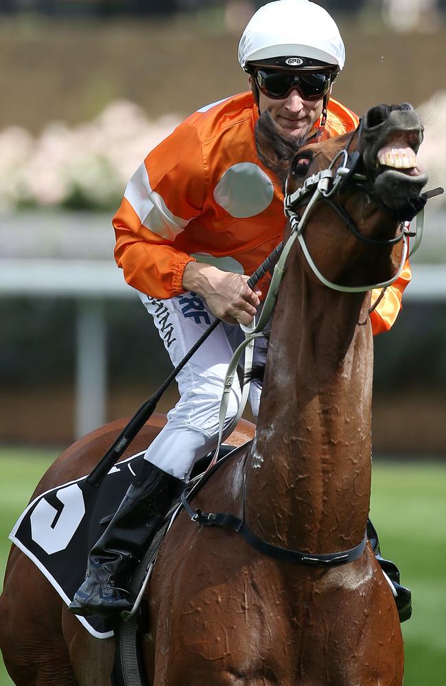 Blake Shinn returns to scale on Who Shot Thebarman after winning the Moonee Valley Gold Cup. Picture: AAP