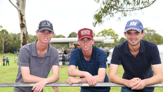 Watching the cattle judging, from left; brothers Nicholas, Tristan and William York at the Heritage Bank Toowoomba Royal Show. Saturday March 26, 2022