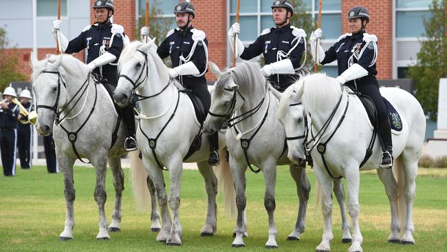 Police grey. Picture: Naomi Jellicoe