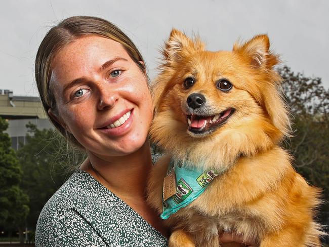 Australia’s most popular dog names revealed