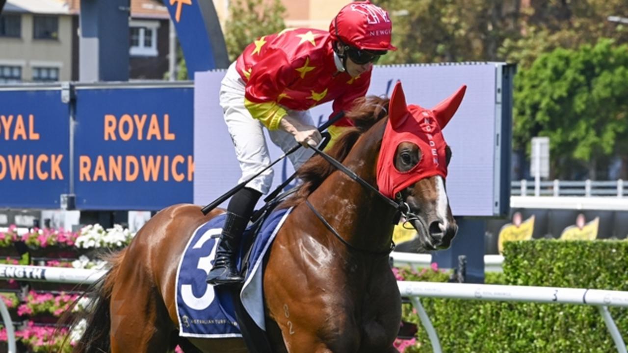 Quietly Arrogant was unlucky when beaten just 0.4-lengths into third in the Group 2 Skyline Stakes at Randwick on March 1. Picture: Bradley Photos