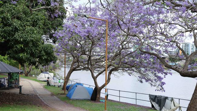 Tent community in Kurilpa Park.