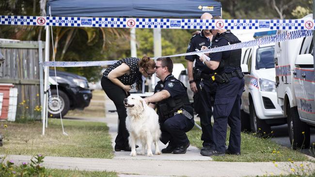 A dog is taken by police. (News Corp/Attila Csaszar)