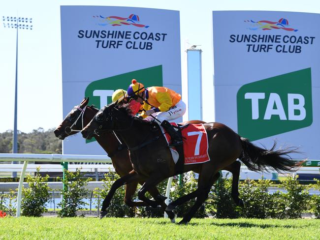 Jim Byrne takes Spiritual Rose on to win race one at Corbould Park.