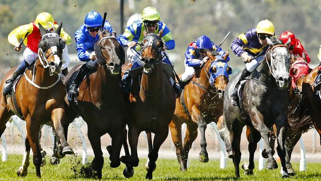 The appearance of the Hawkes excitement machine Chautauqua at Moonee Valley should pull plenty through the turnstiles. Picture: Colleen Petch