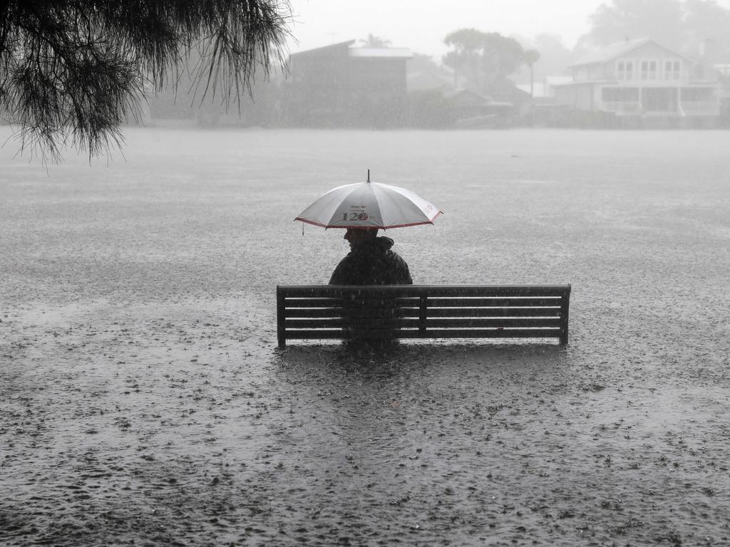 Nice weather for ducks in Narrabeen, northern Sydney. Picture: Damian Shaw.