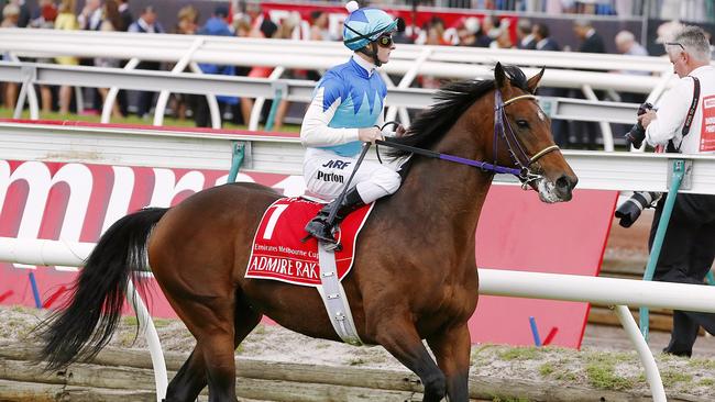 It was heartbreak for Zac Purton aboard Admire Rakti. Picture: Wayne Ludbey