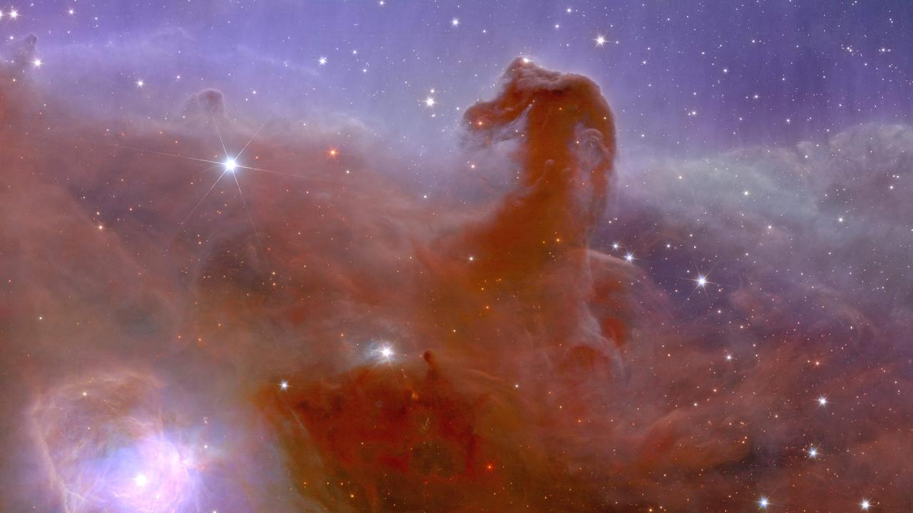 The telescope captured a stunning photo of the Horsehead Nebula. Picture: ESA/Euclid/Euclid Consortium/NASA/AFP