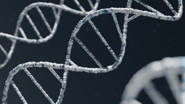 "We know that gene expression can be switched on or off depending on a variety of factors such as exercise, sleep, medications, illness and even your diet". Image: Unsplash. 