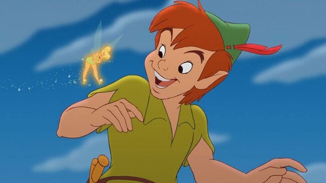 Peter Pan could be remade as Peter Pansexual.