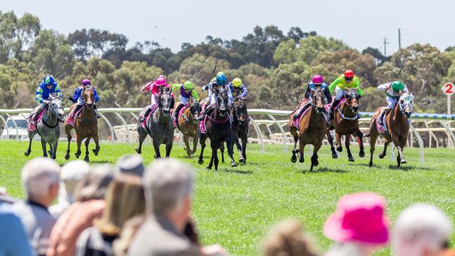 Racing SA has purchased 11 hectares next to Strathalbyn racecourse. Picture: Makoto Kaneko