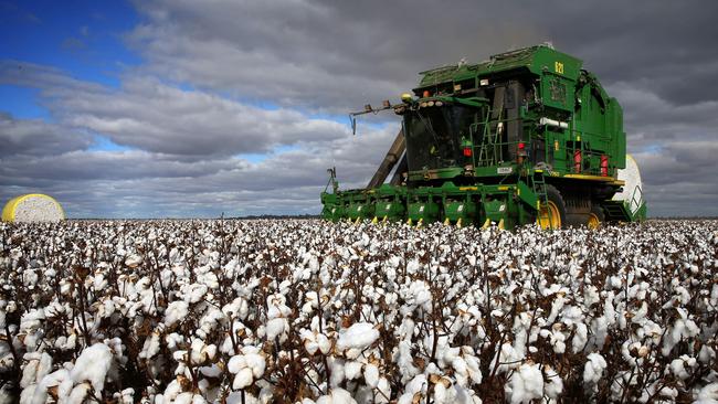 Big business: Cotton harvest underway at the Auscott-leased Cobran Station at Hay in NSW. Picture: Andy Rogers