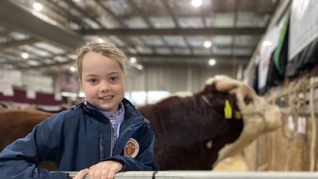 Wildbear Herefords’ Emma Davies from Meadows South Australia is pictured with lot 55 in the background at the Herefords Australia National Show and Sale at Wodonga. Picture: Fiona Myers