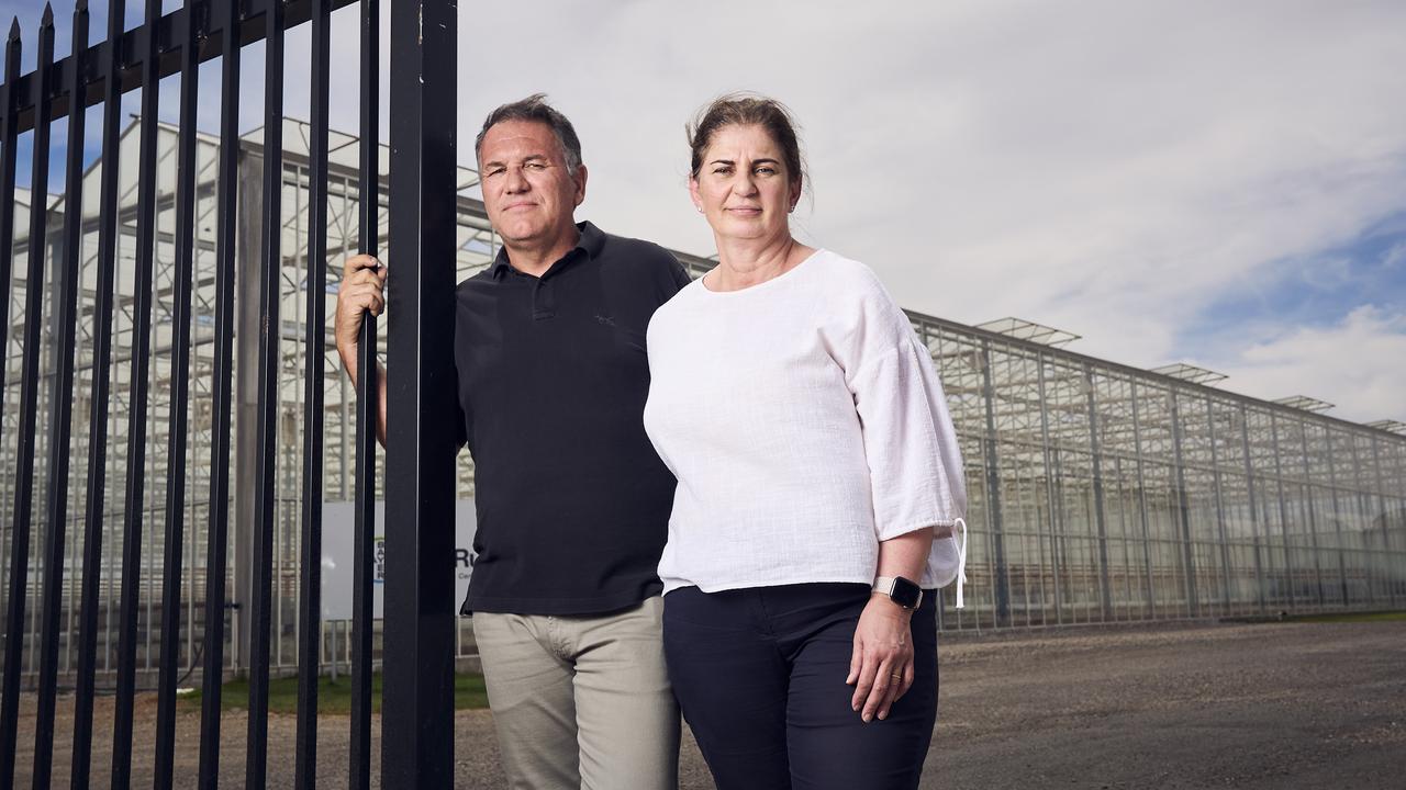 ‘Like a death’: Distraught grower’s fury over biosecurity backflip