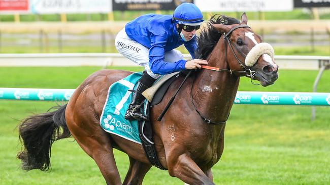 Micro ridden by Damian Lane wins the The Bendigo Cleaning Company Three-Years-Old Maiden Plate at Bendigo Racecourse on September 03, 2021 in Bendigo, Australia. (Brett Holburt/Racing Photos via Getty Images)