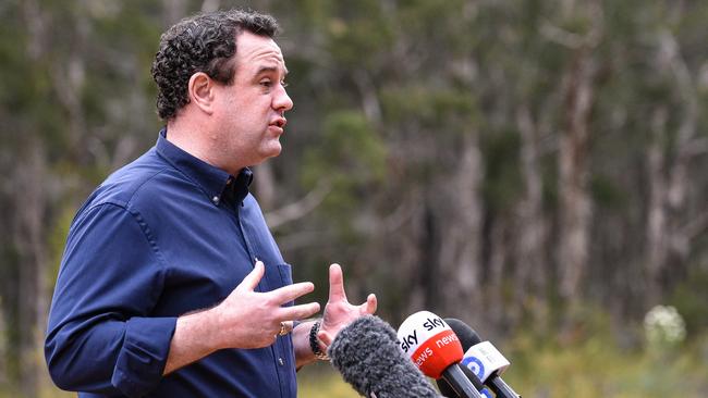 Minister for Western Sydney Stuart Ayres speaks at press conference in west Sydney. Picture: NCA NewsWire / Flavio Brancaleone