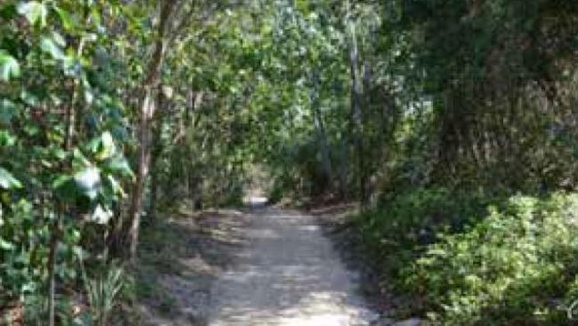 Federation Walk on The Spit at the Gold Coast - about to have a rainforest irrigation system.