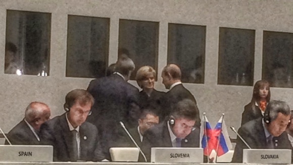 Julie Bishop meets with Vladimir Putin at the ASEM Summit in Milan in 2014. Photo supplied