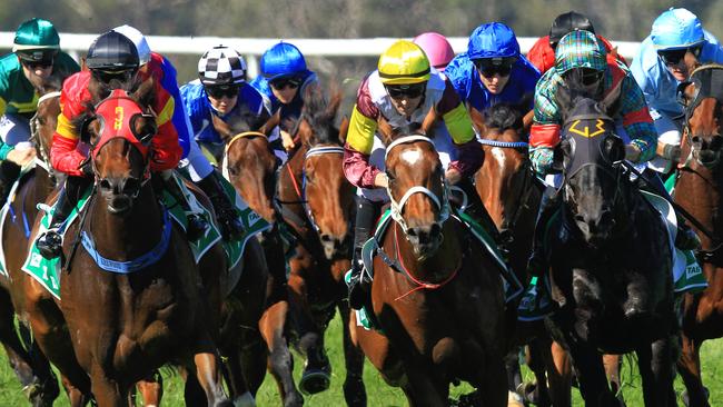 Loving home ridden by Tye Angland  (yellow cap, maroon with yellow armbands) wins race 1 during Scone  Races located in the Upper Hunter Region of NSW. The Bend . Pic Jenny Evans