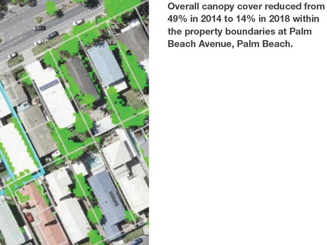 Palm Beach tree canopy cover has changed, according to the council report.