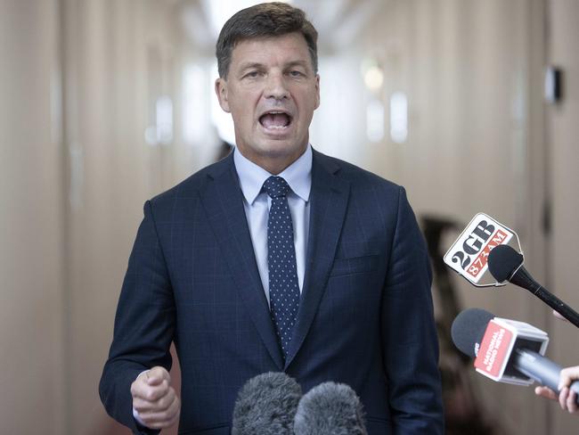 Energy Minister Angus Taylor. Picture: NCA NewsWire / Gary Ramage