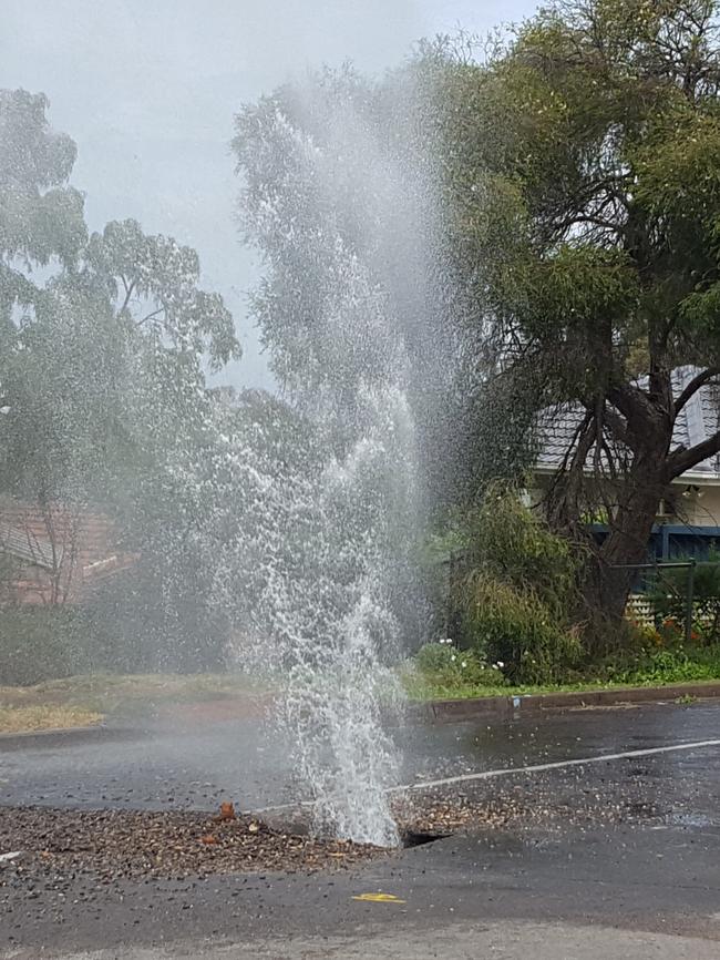 Just another burst water main ... this time in Belair in November. Picture: Ashley Drage