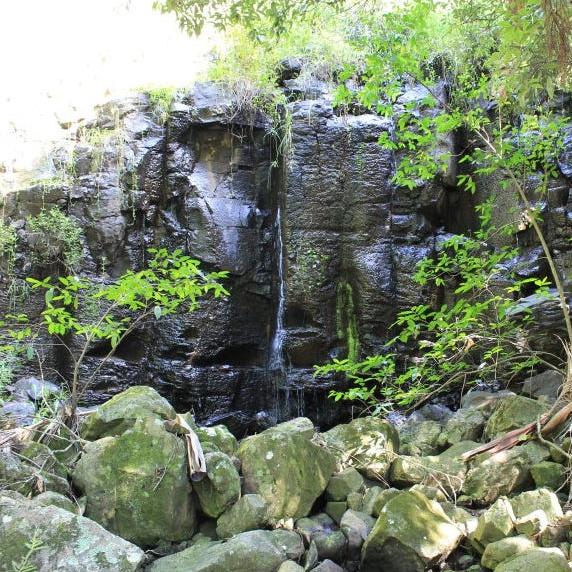 View of the waterfall on the property, back when it was on the market in 2015.