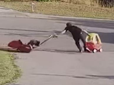 The moment a West Australian dad is forced to juggle his runaway lawnmower with his 18-month-old son has left the internet in stitches. Picture: Facebook