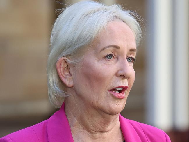 Shadow Health Minister Ros Bates during a news conference at State Parliament, Brisbane. Picture: Liam Kidston.