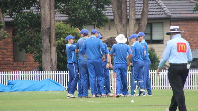 Lane Cove celebrates a wicket in their win over Warringah.