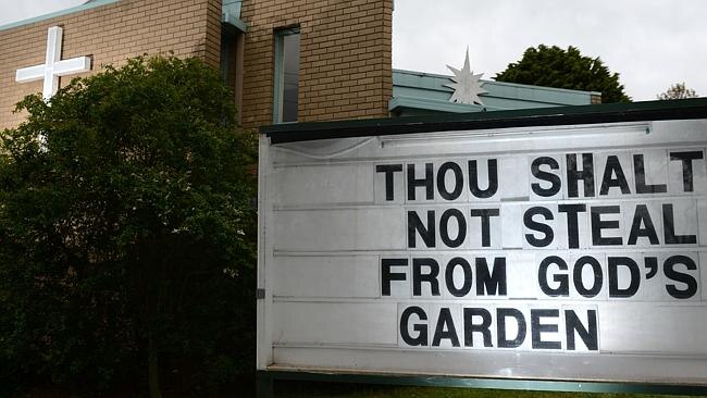 Palm trees among plants stolen from Wheelers Hill Uniting Church ...