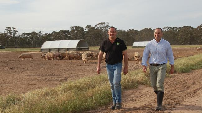 Otway Pork managing director Martin Newnham, right, on a leased farm near Edenhope. Archive picture.