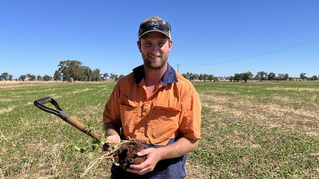 Dan Fox of Gladlea at Marrar in southern NSW is pictured in a crop of buckwheat. The buckwheat will be harvested at the end of April. Picture: Nikki Reynolds