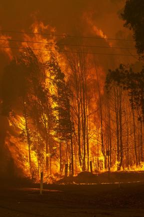 A wall of fire approaching homes on Willinga Drive at Bawley Point, on the NSW south coast. Picture: Gary Ramage