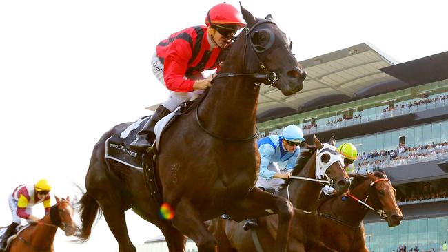 Prized Icon will take on the mighty mare Winx at Randwick on Saturday. Picture: Jenny Evans