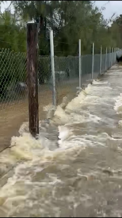 Hunter Valley Zoo inundated