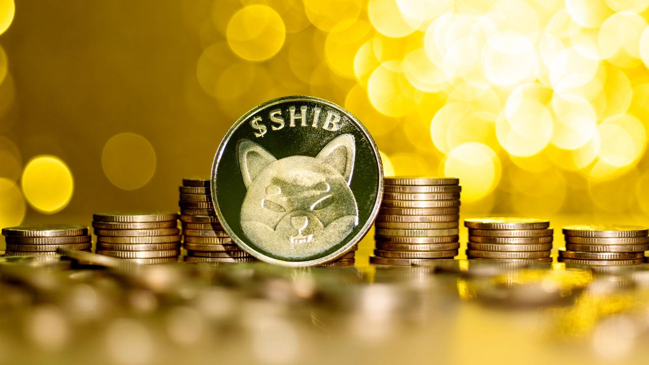 The price of Shiba Inu has risen sharply this week. Picture: iStock