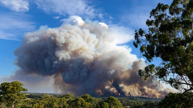 The out-of-control Cherry Gardens fire. Picture: Brenton Edwards