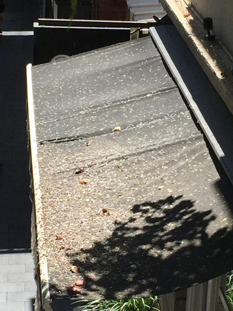 The poo damage is causing havoc on Leigh St. Picture: Mile Kemp