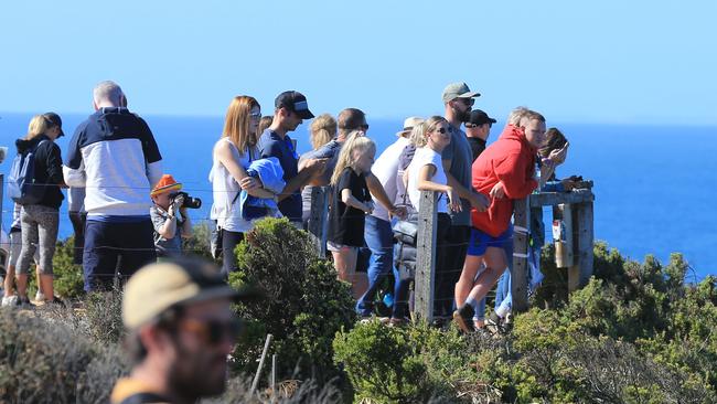 Bells Beach Rip Curl Pro 2019. Picture: Peter Ristevski